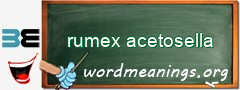 WordMeaning blackboard for rumex acetosella